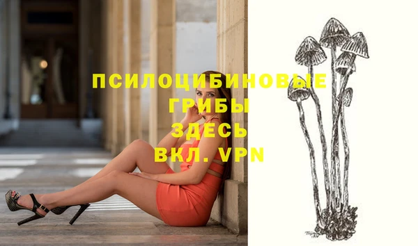 spice Белоозёрский