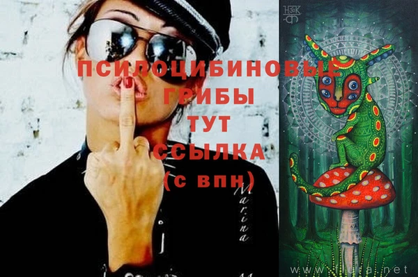 наркотики Белокуриха