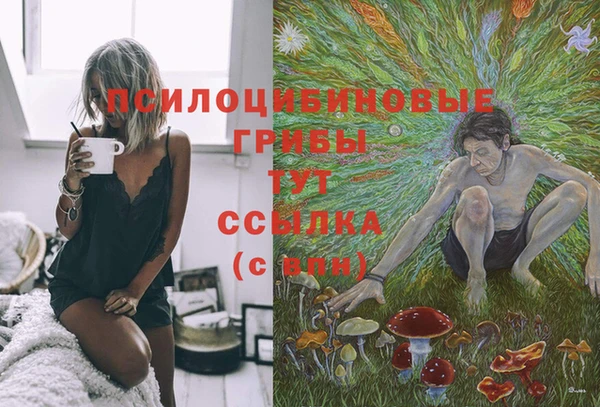 наркотики Белокуриха