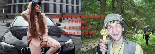 наркотики Белокуриха
