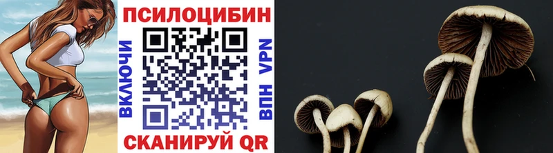 Галлюциногенные грибы ЛСД  ссылка на мегу зеркало  Жуков 